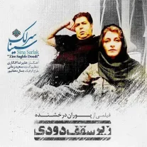 کاور آهنگ سینا سرلک زیر سقف دودی