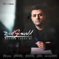 کاور آهنگ میثم ابراهیمی زود گذشت